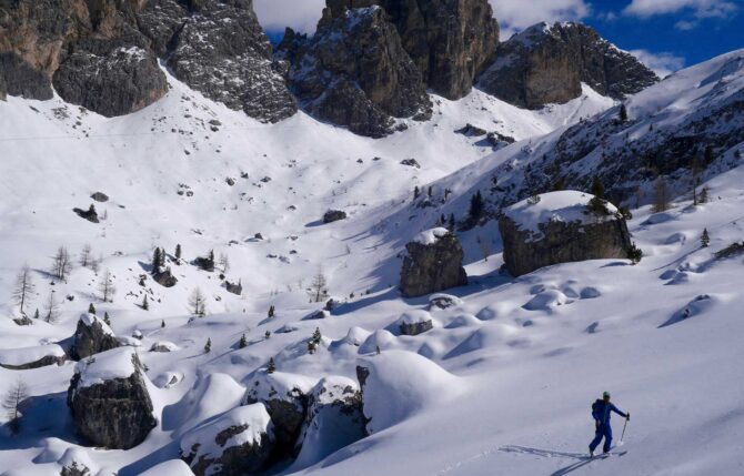 Freeride-1